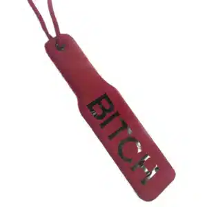 Paleta BDMS 2